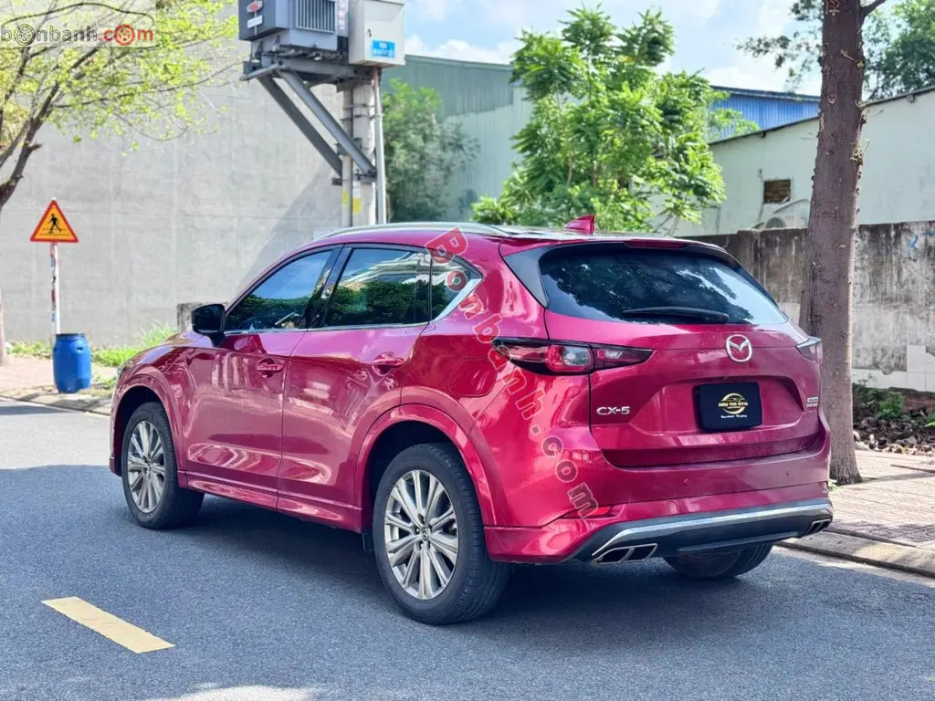 Hình ảnh số 4