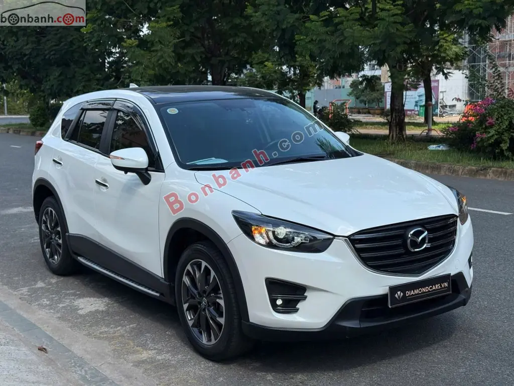 Hình ảnh số 2