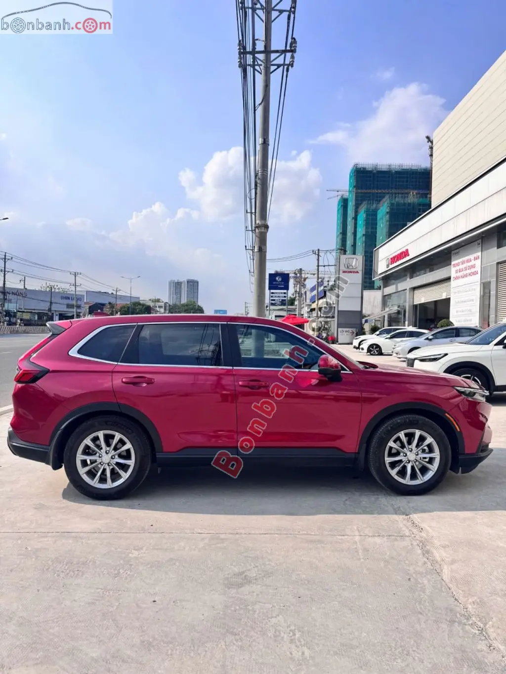 Hình ảnh số 2