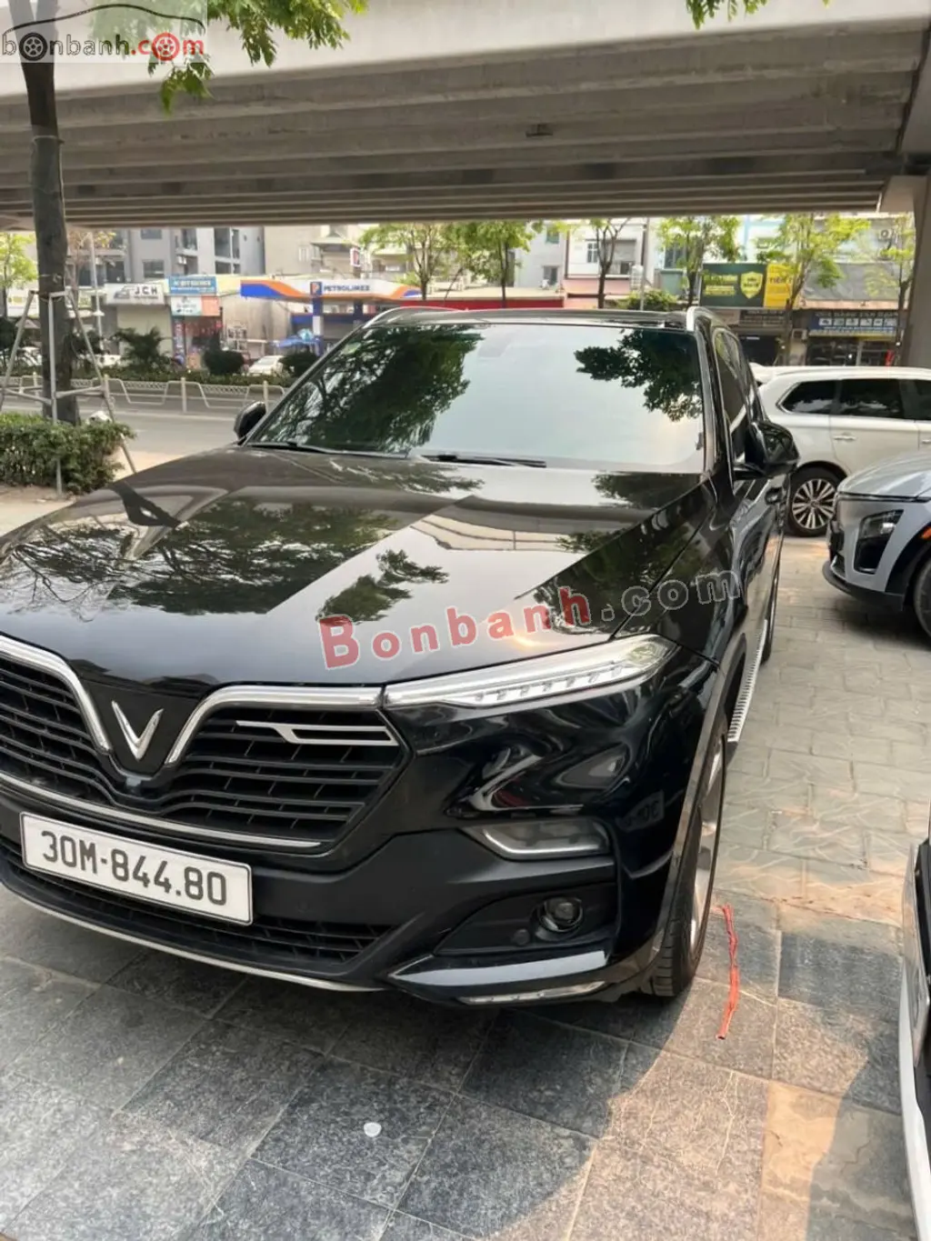 Hình ảnh số 2