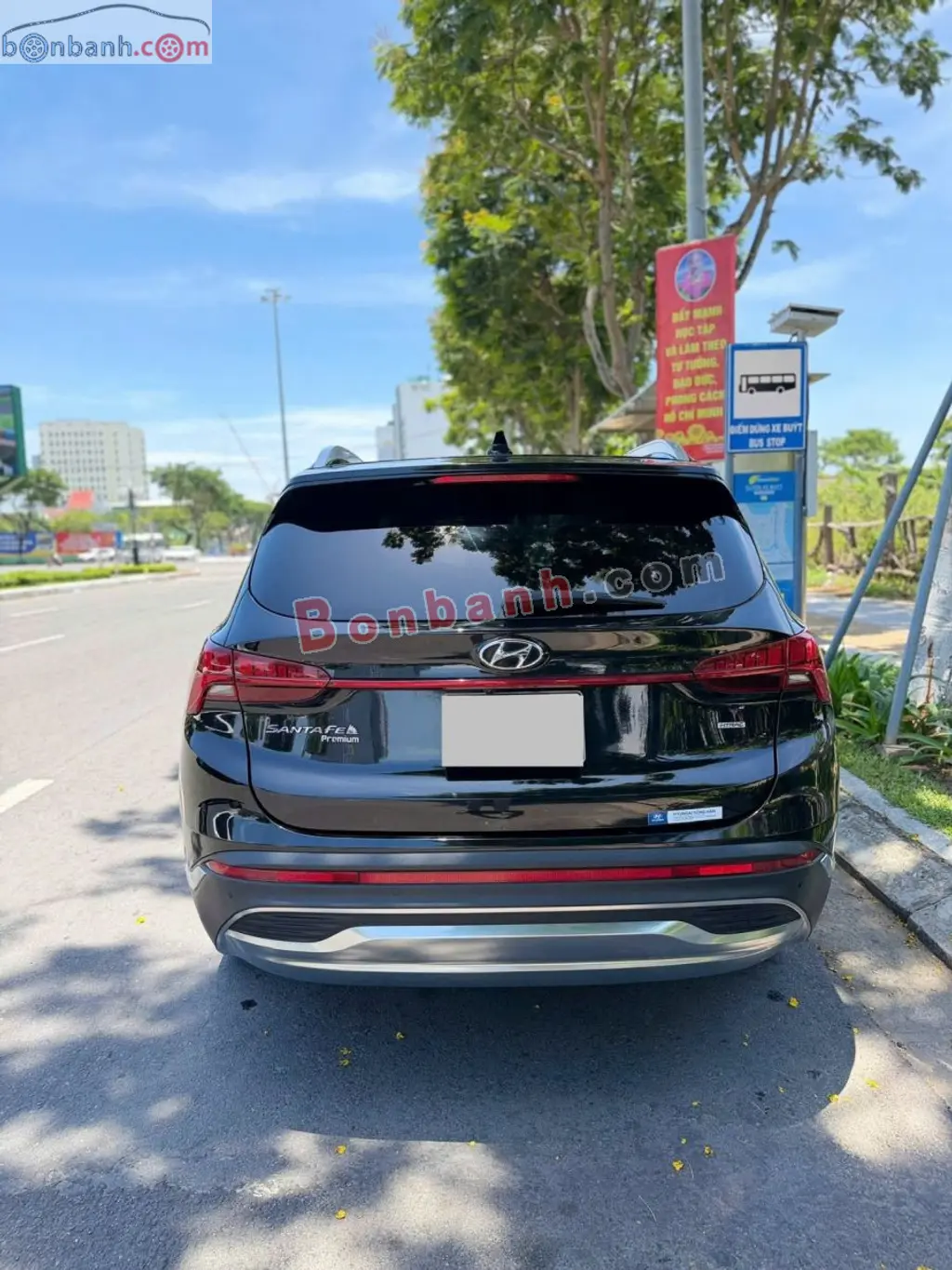 Hình ảnh số 5