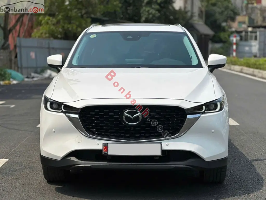 Hình ảnh số 2