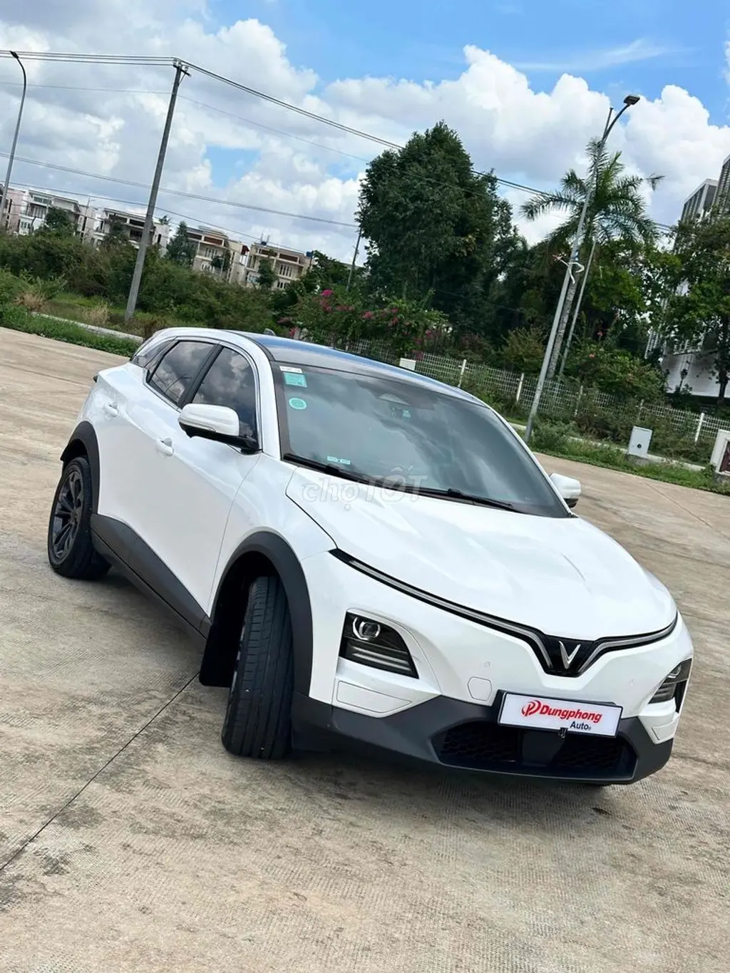 Hình ảnh số 5
