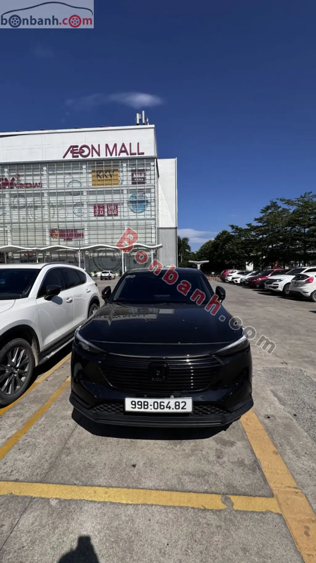 Hình ảnh số 2