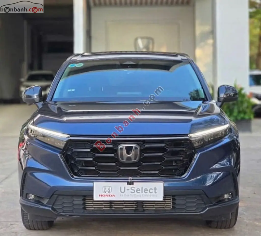 Hình ảnh số 5