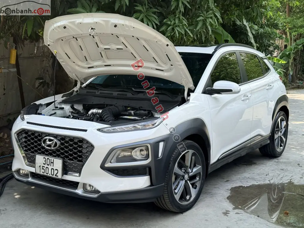 Hình ảnh số 2