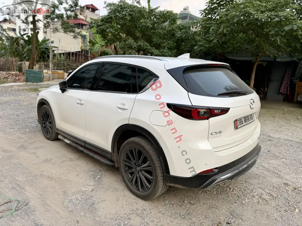 Hình ảnh số 5