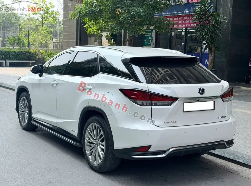 Hình ảnh số 10