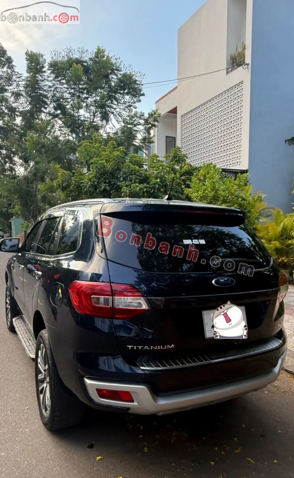 Hình ảnh số 2