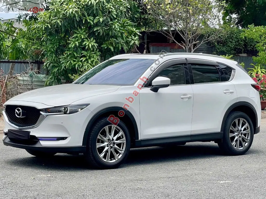Hình ảnh số 2
