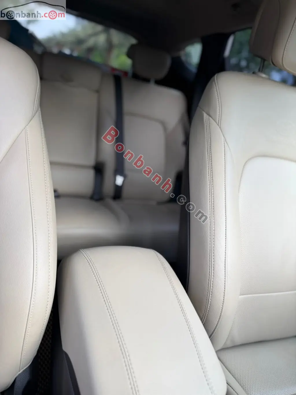 Hình ảnh số 4