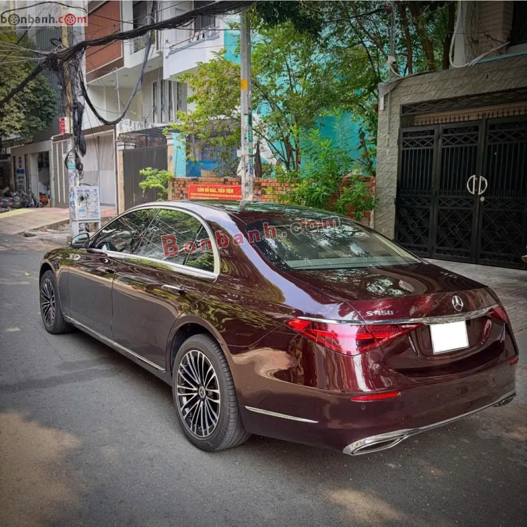 Hình ảnh số 2