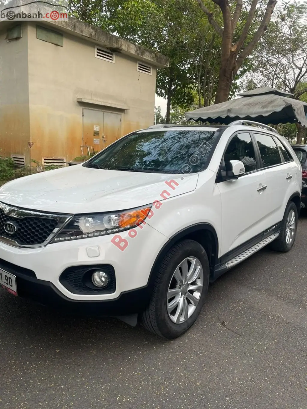 Hình ảnh số 2