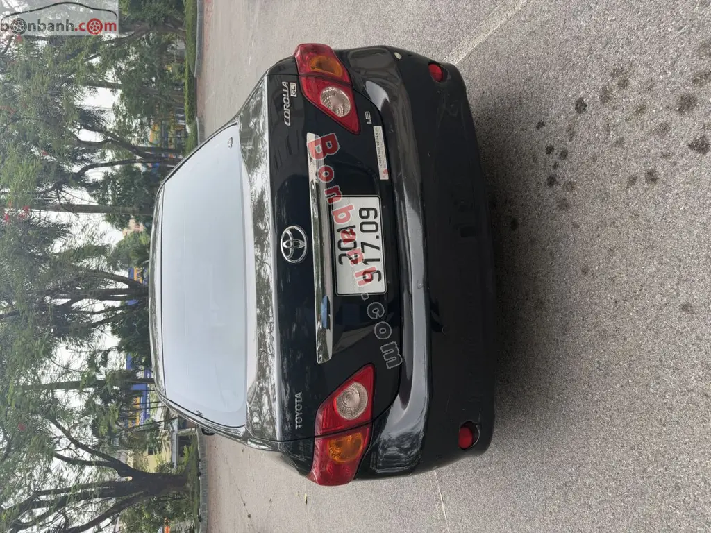 Hình ảnh số 2