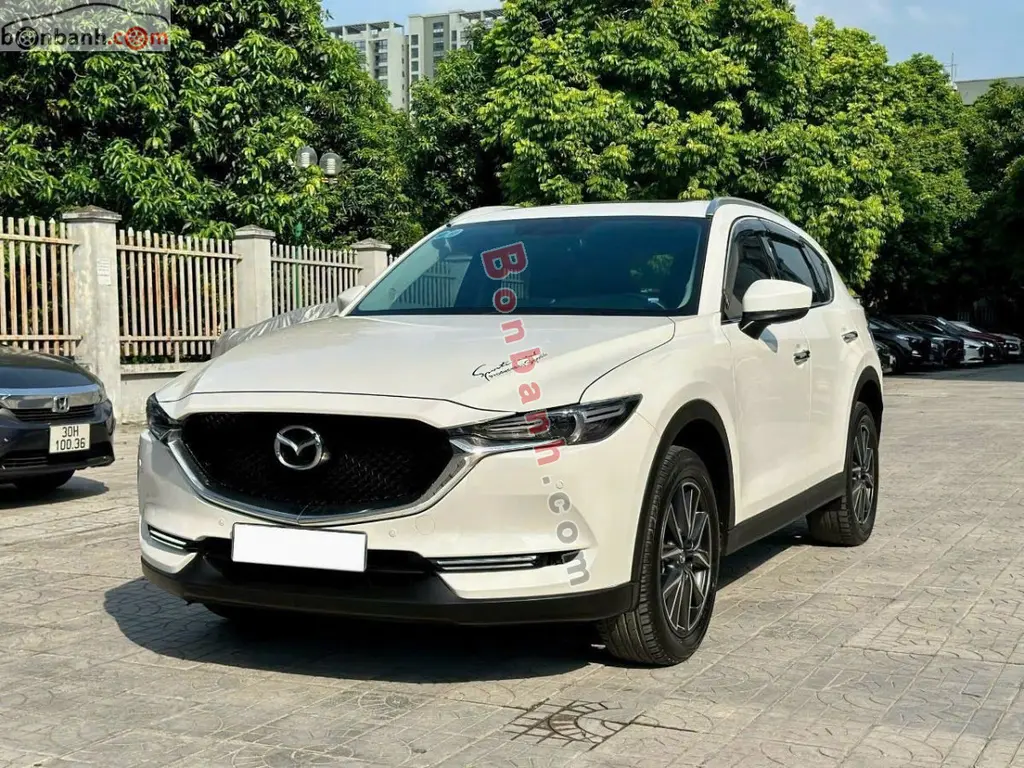 Hình ảnh số 2