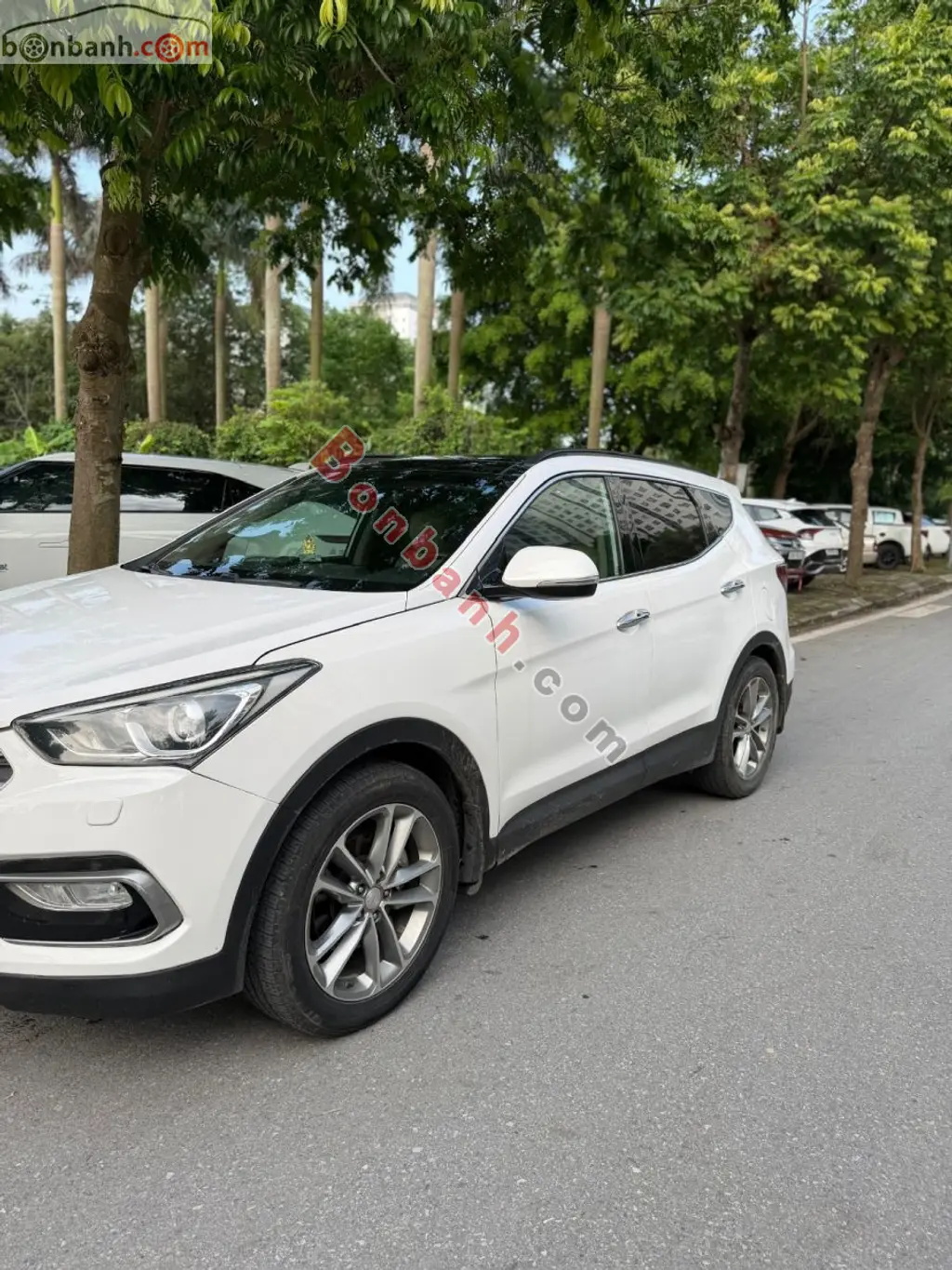 Hình ảnh số 2