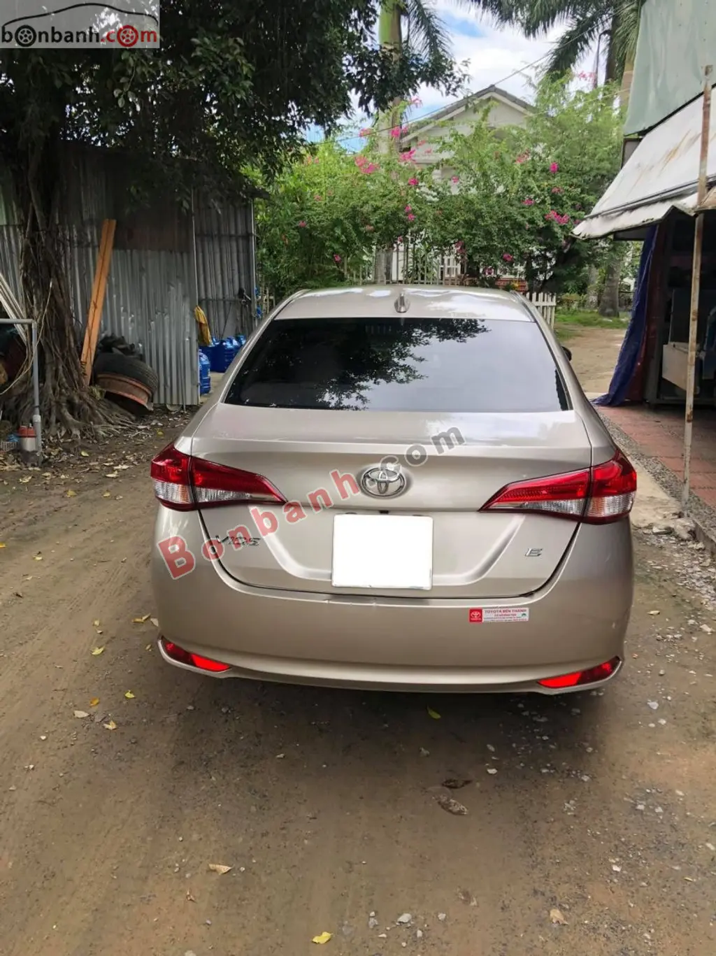 Hình ảnh số 5
