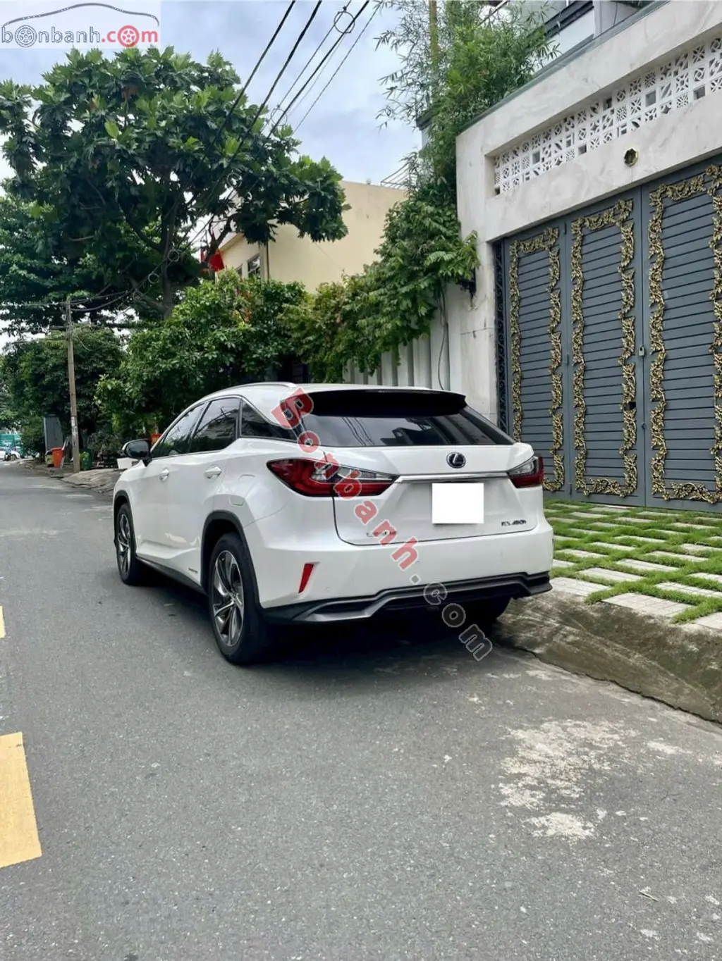 Hình ảnh số 2