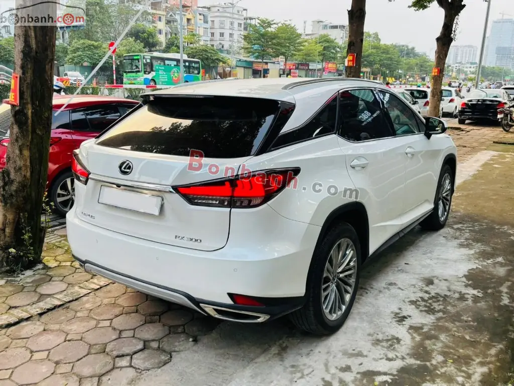 Hình ảnh số 2