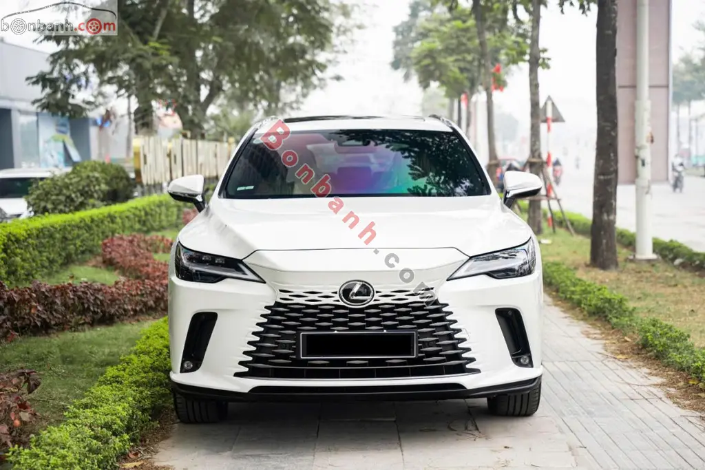 Hình ảnh số 2