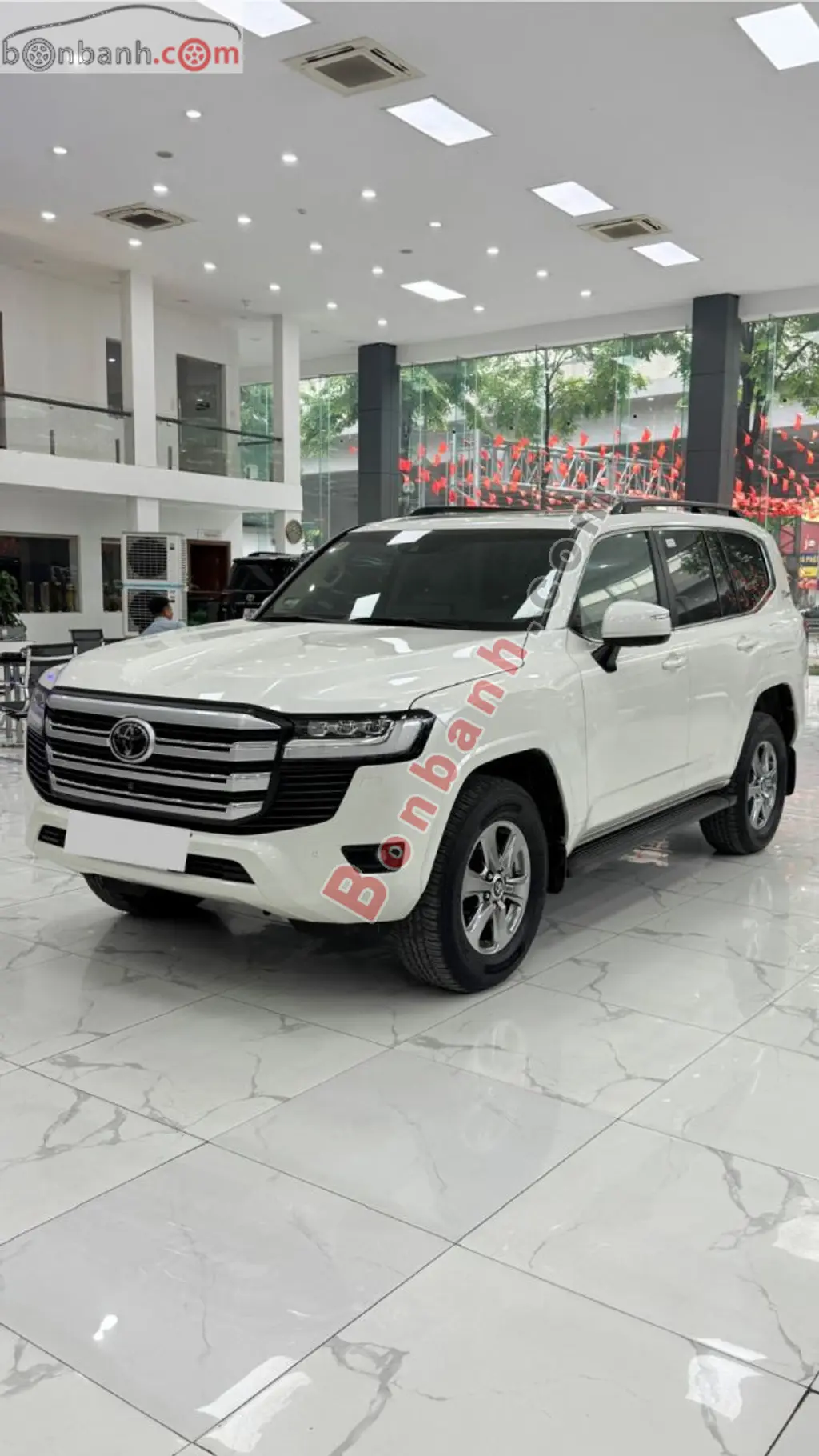 Hình ảnh số 3