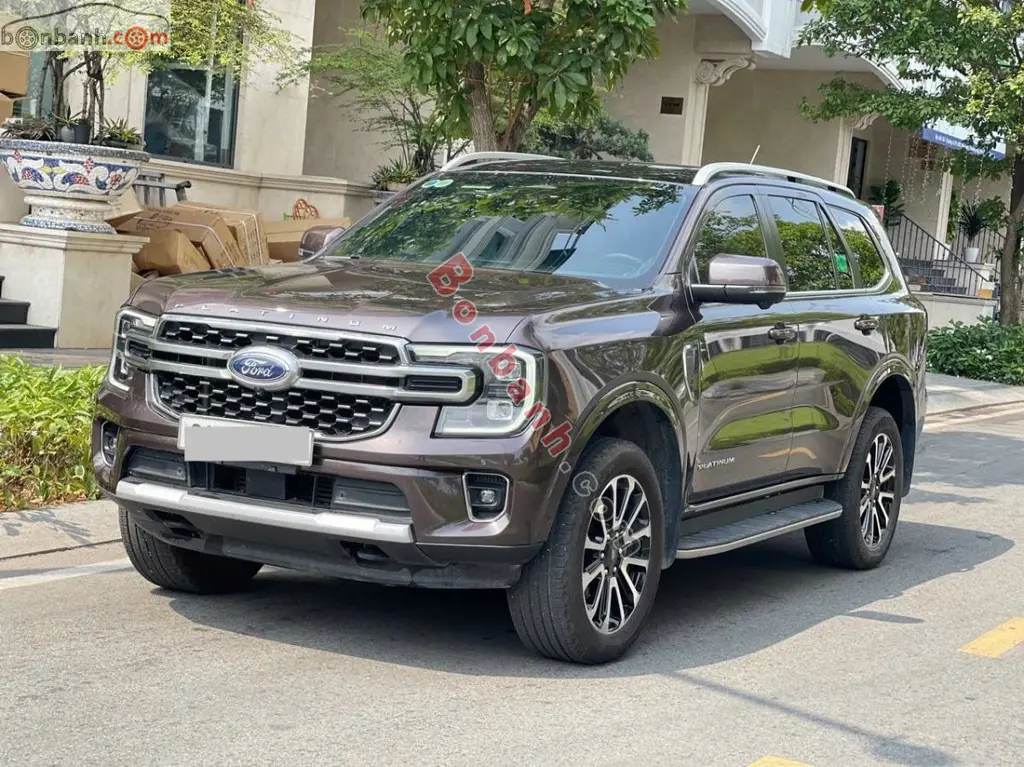 Hình ảnh số 2