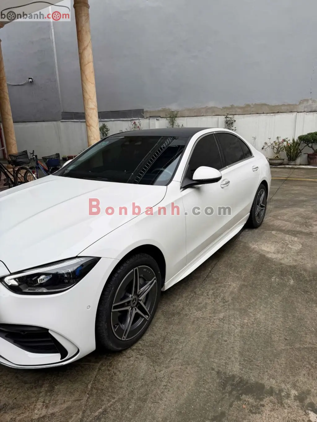 Hình ảnh số 2