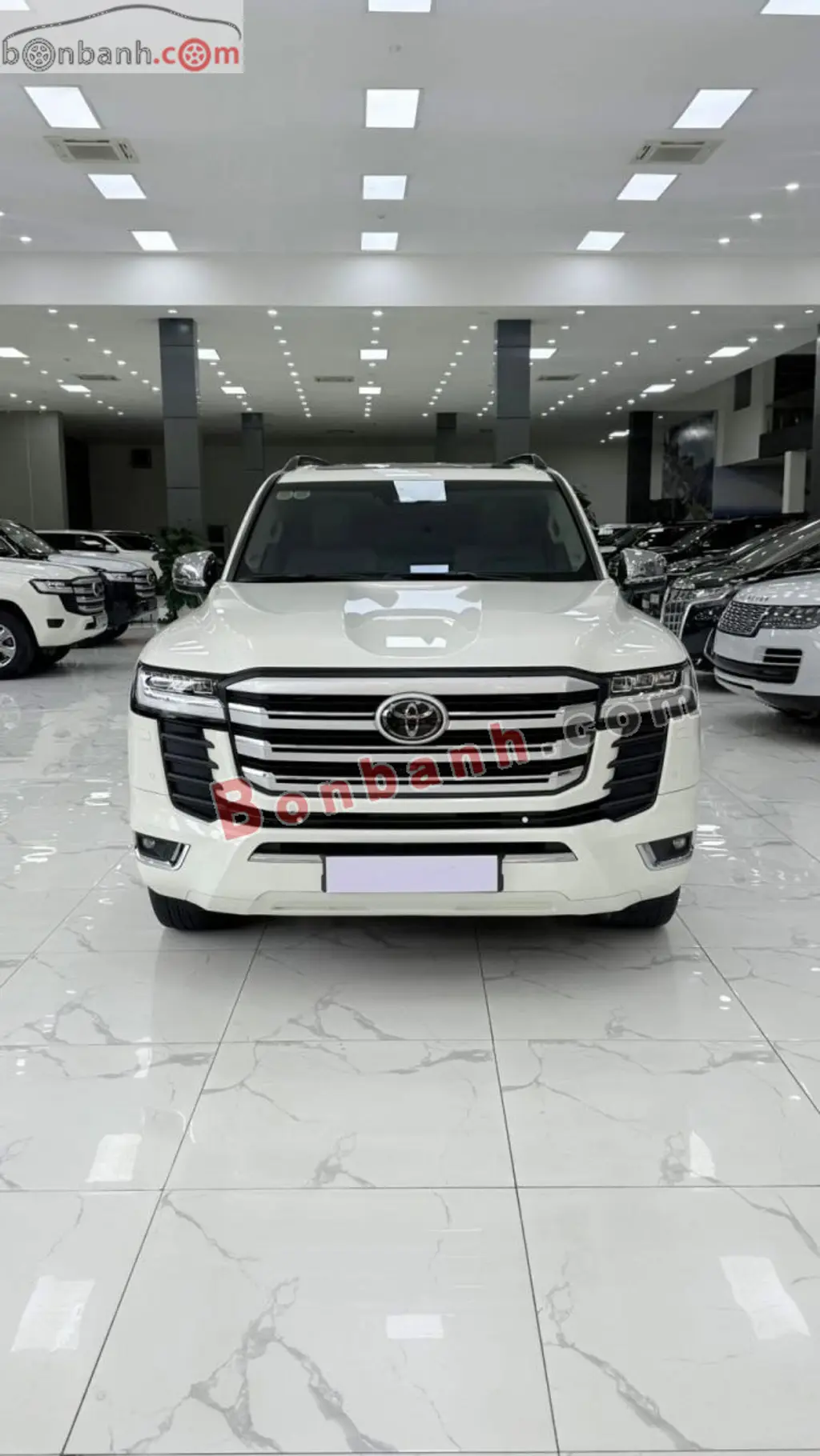 Hình ảnh số 2