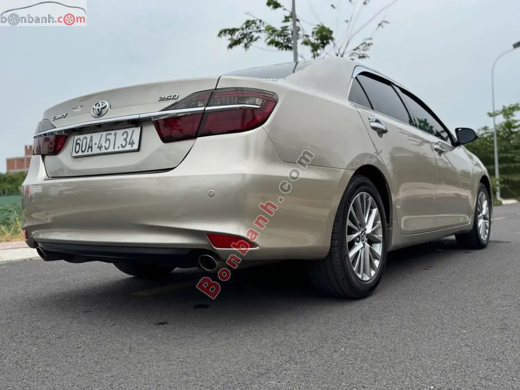 Hình ảnh số 2