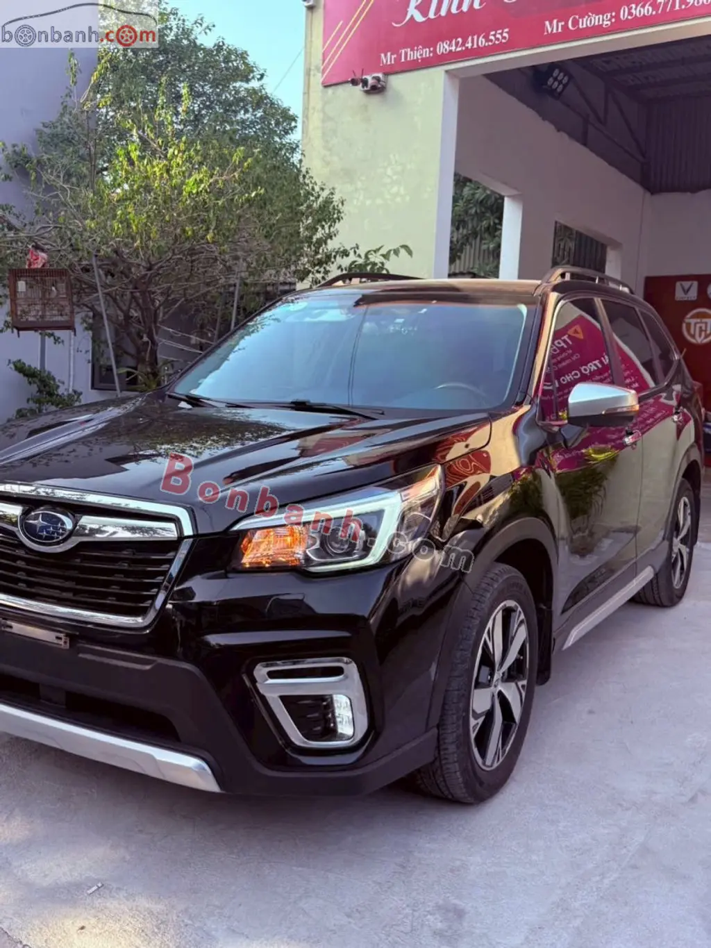 Hình ảnh số 2