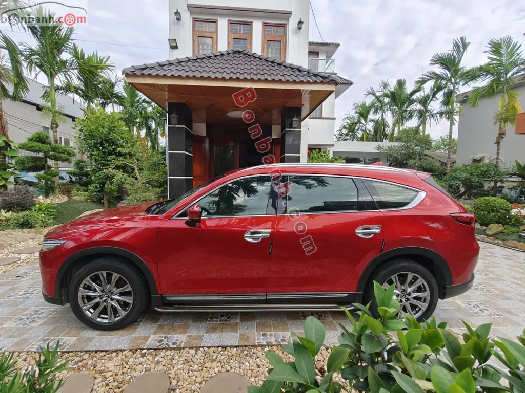 Hình ảnh số 3