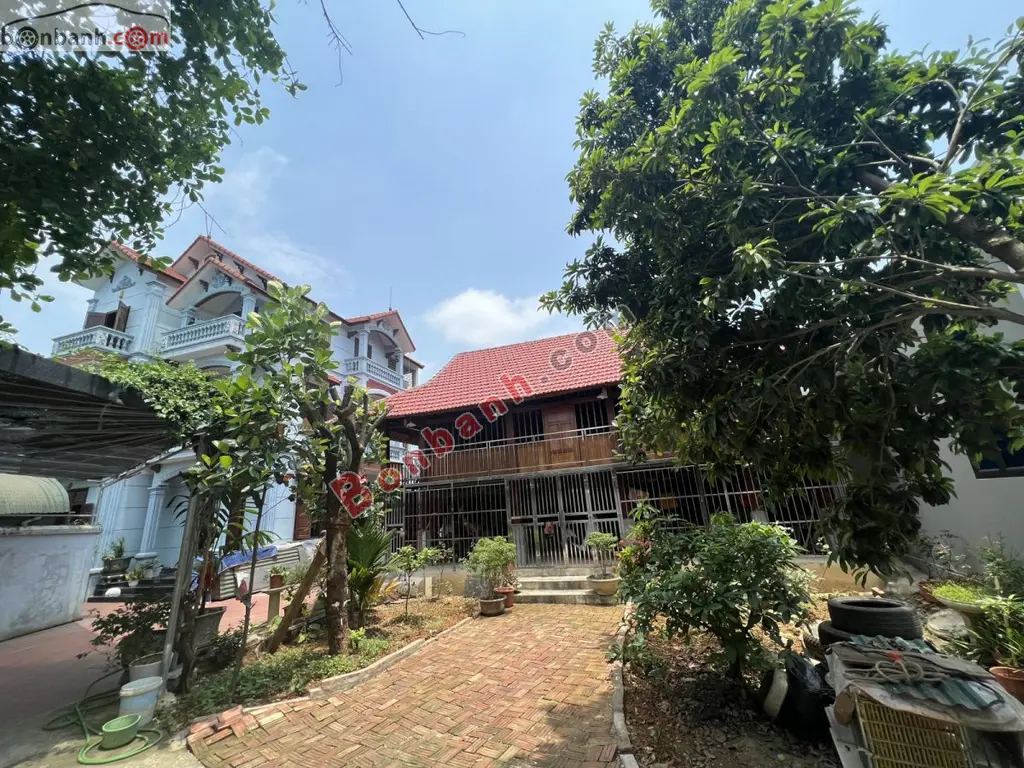 Hình ảnh số 6
