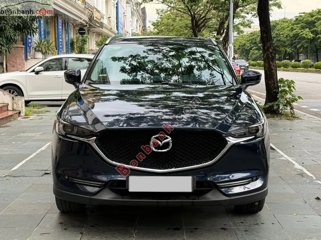 Hình ảnh số 2