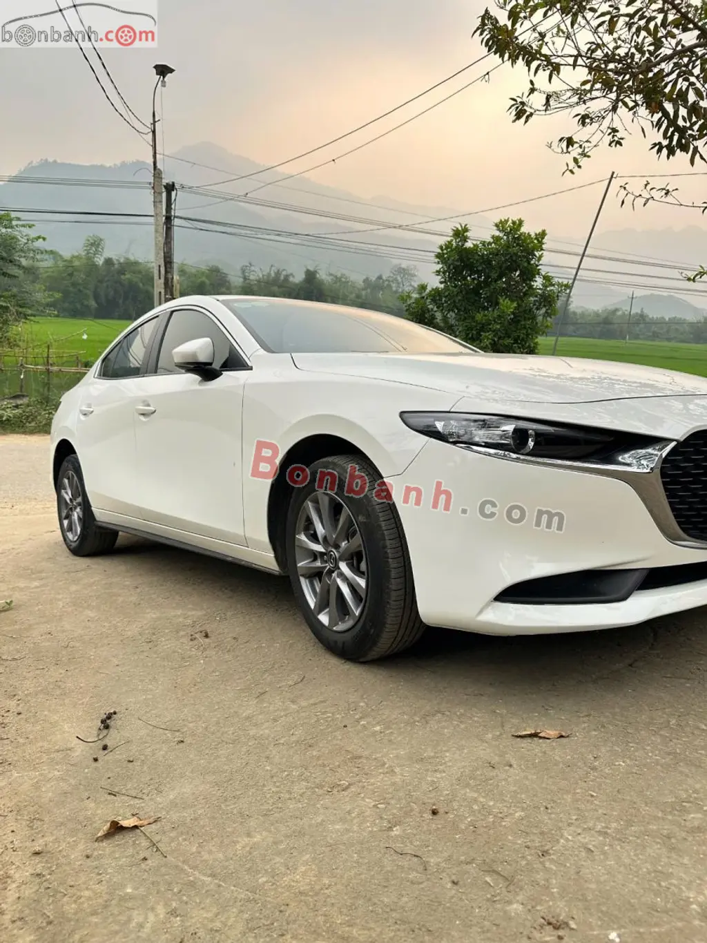 Hình ảnh số 3