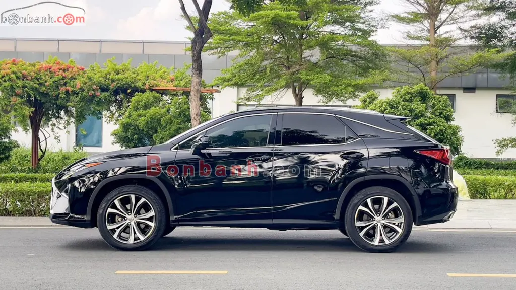 Hình ảnh số 2