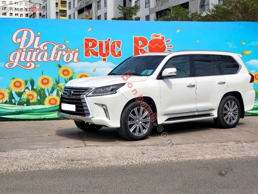Hình ảnh số 2