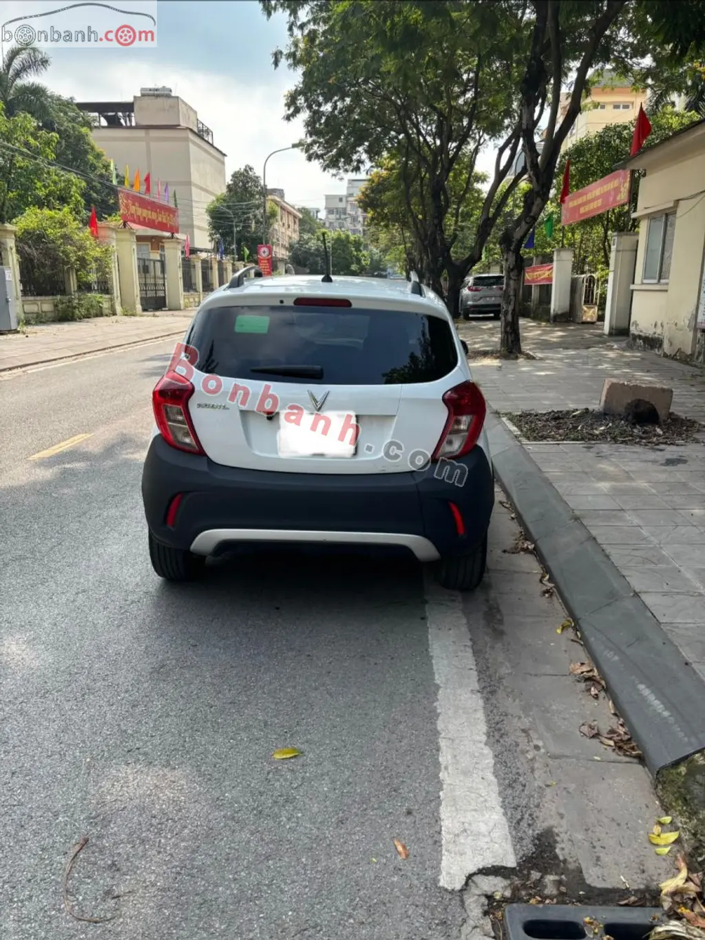 Hình ảnh số 4