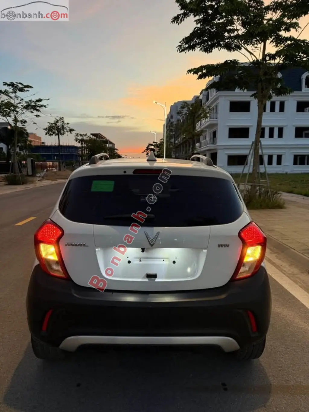 Hình ảnh số 5