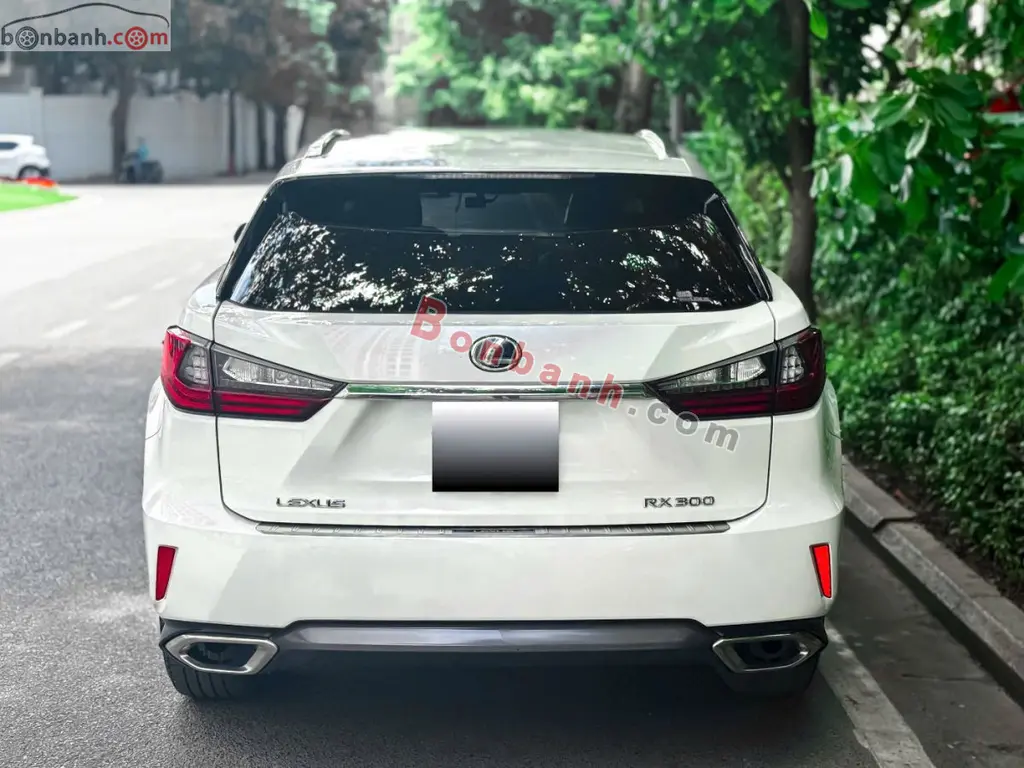 Hình ảnh số 3