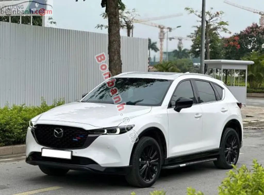 Hình ảnh số 2