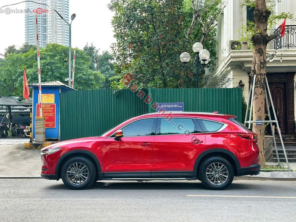 Hình ảnh số 5