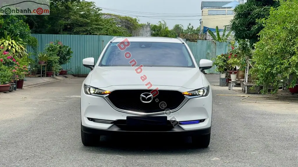 Hình ảnh số 2