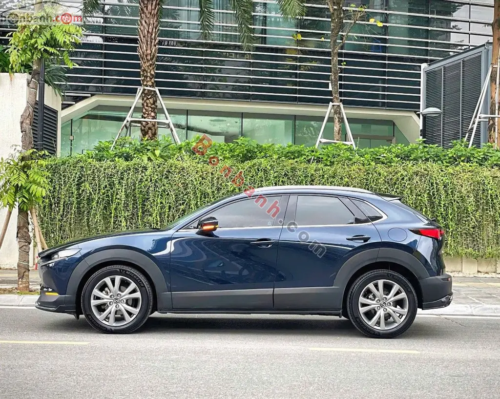 Hình ảnh số 7