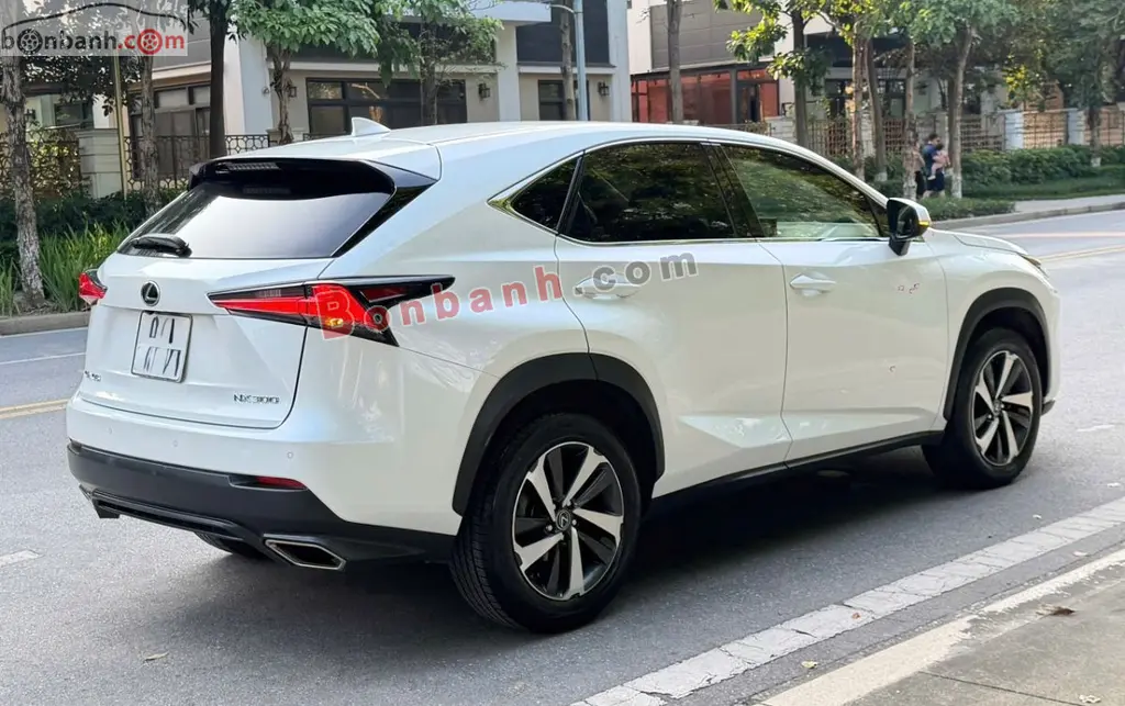 Hình ảnh số 3