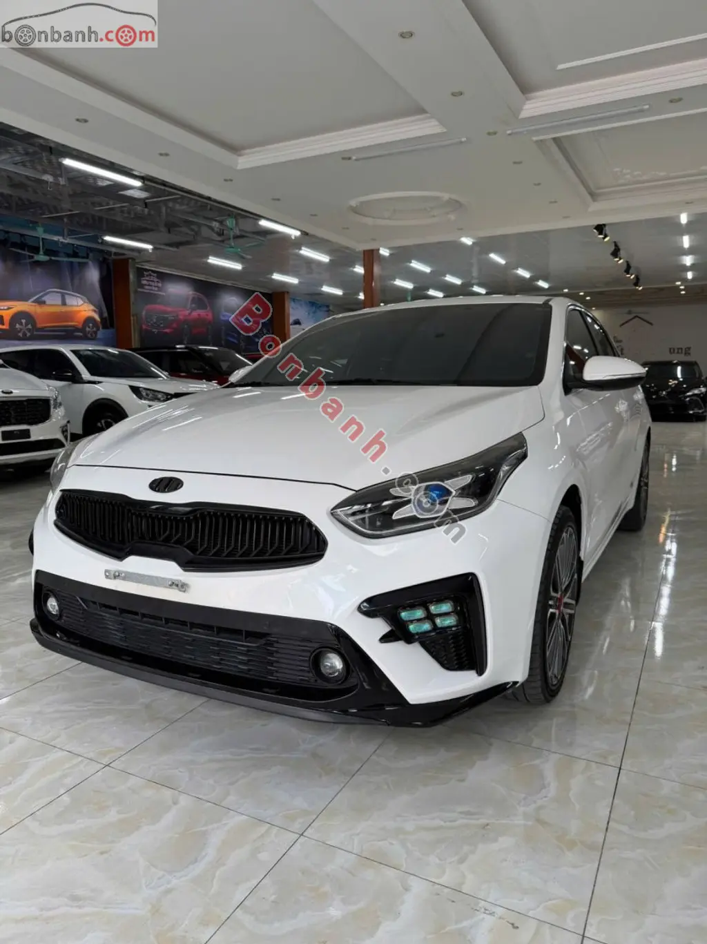 Hình ảnh số 2