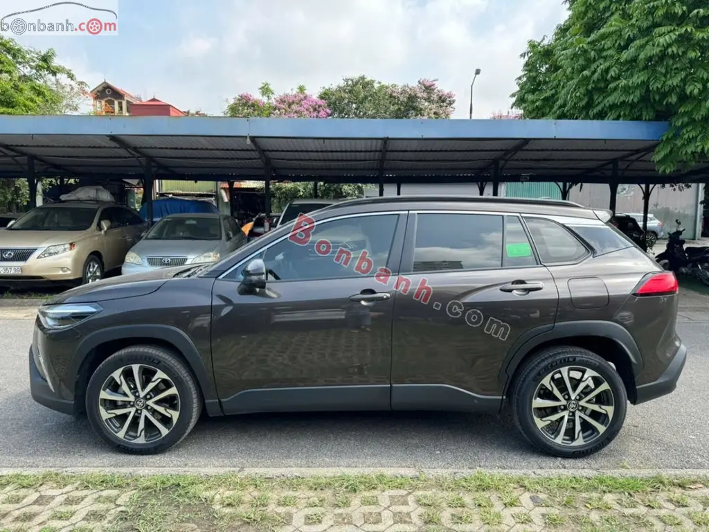 Hình ảnh số 3