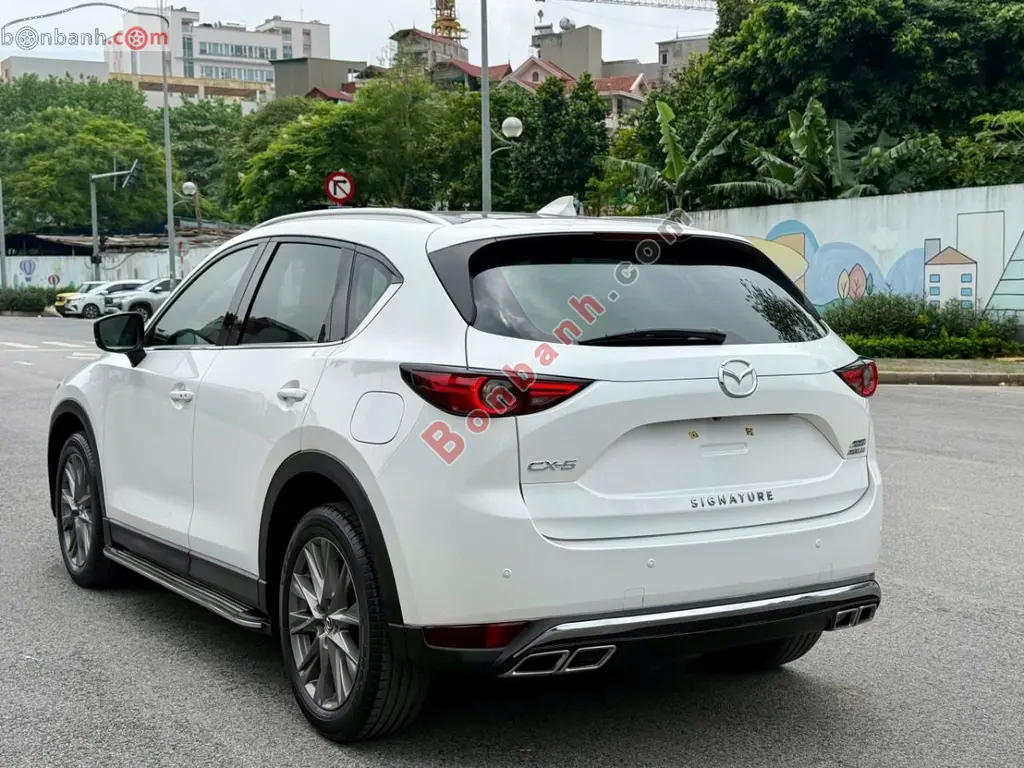Hình ảnh số 3