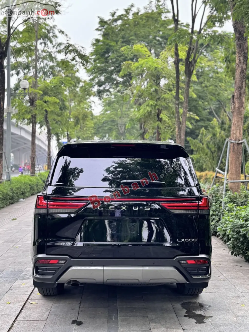 Hình ảnh số 9