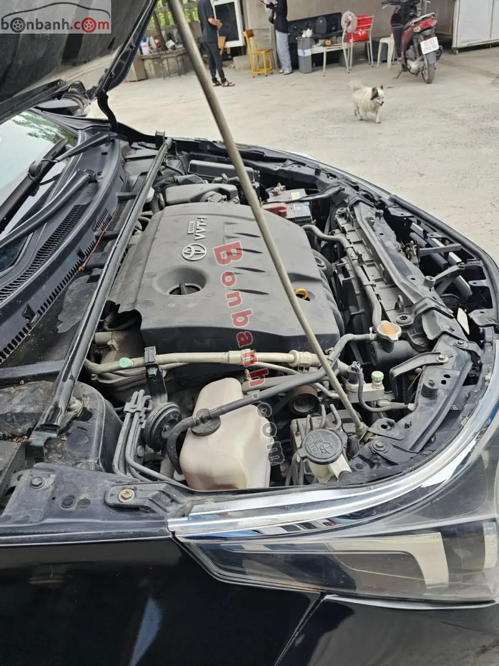 Hình ảnh số 10