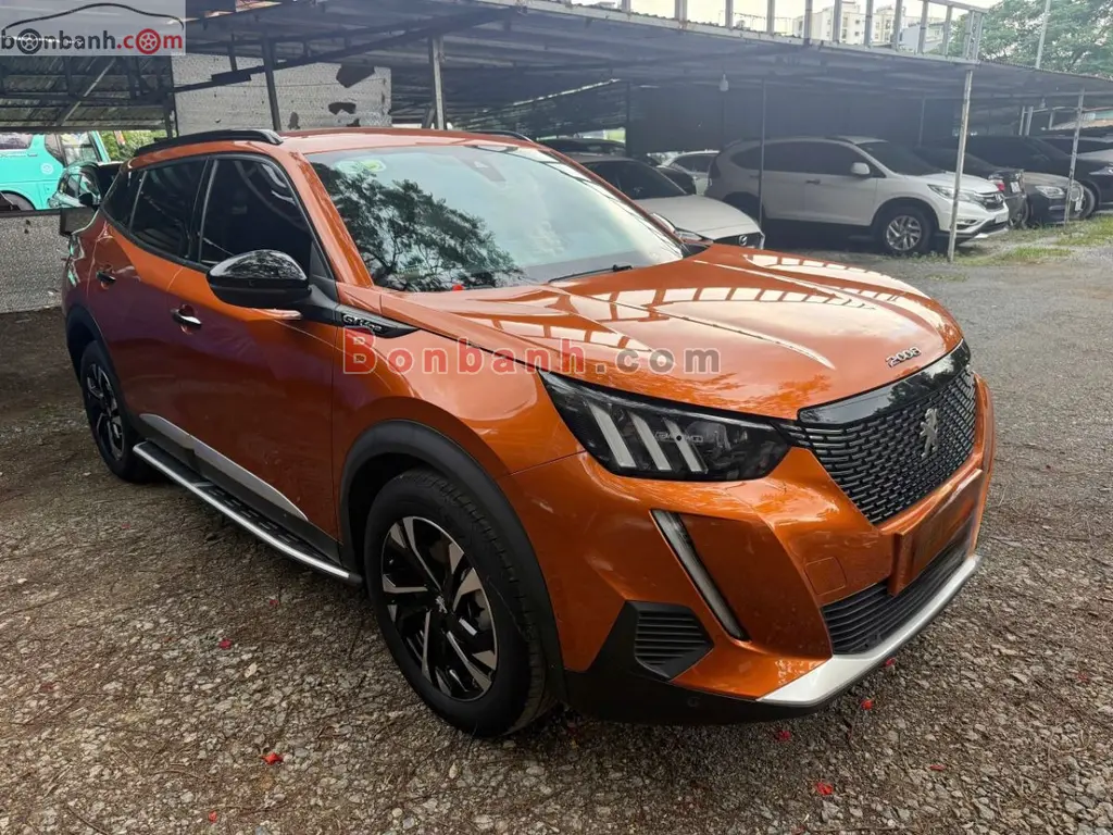 Hình ảnh số 3